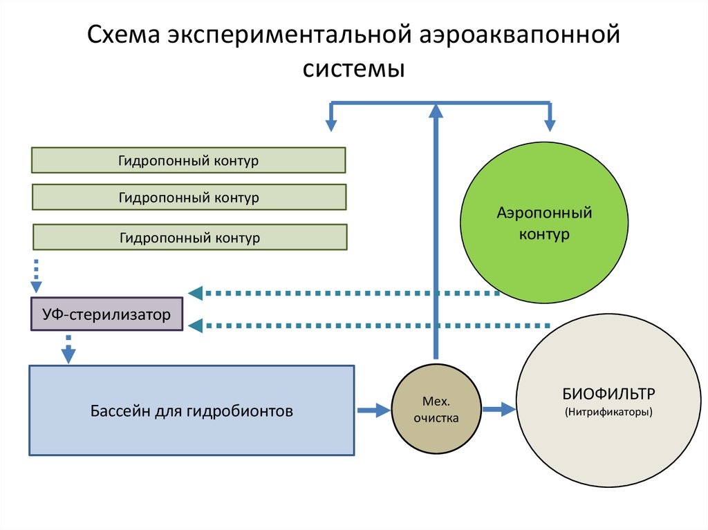 Схема экспериментального исследования