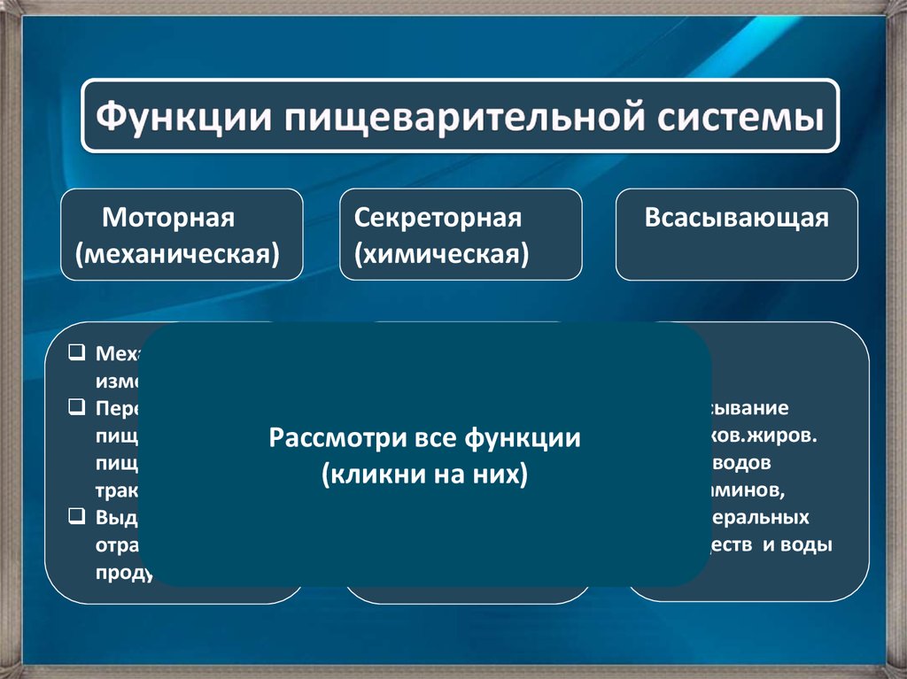 Пищеварительная функциональная система. Функции пищеварительной системы. Перечислите функции пищеварительной системы. Механическая функция пищеварительной системы. Перечислите основные функции системы пищеварения.