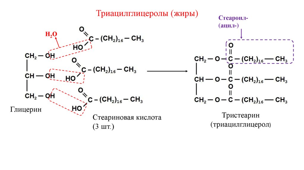 Гидролиз жиров стеариновая кислота. Триацилглицерол структурная формула. Триацилглицеролы биохимия формула. Триацилглицеролы таг. Триацилглицеролы биохимия строение.