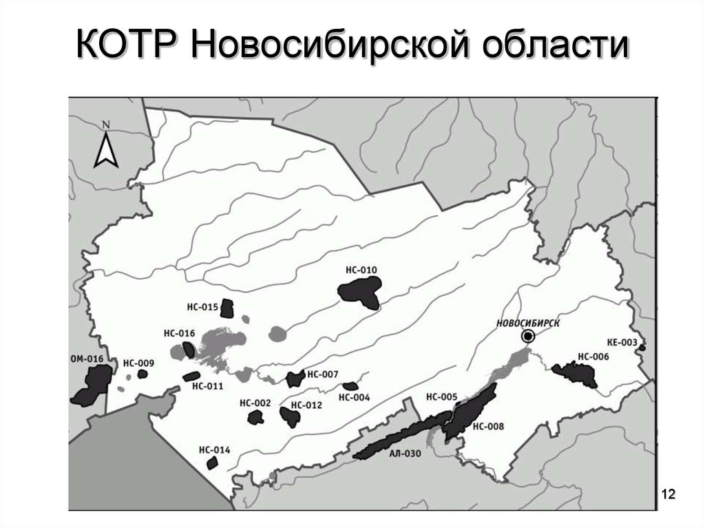 Ключевые орнитологические территории россии карта