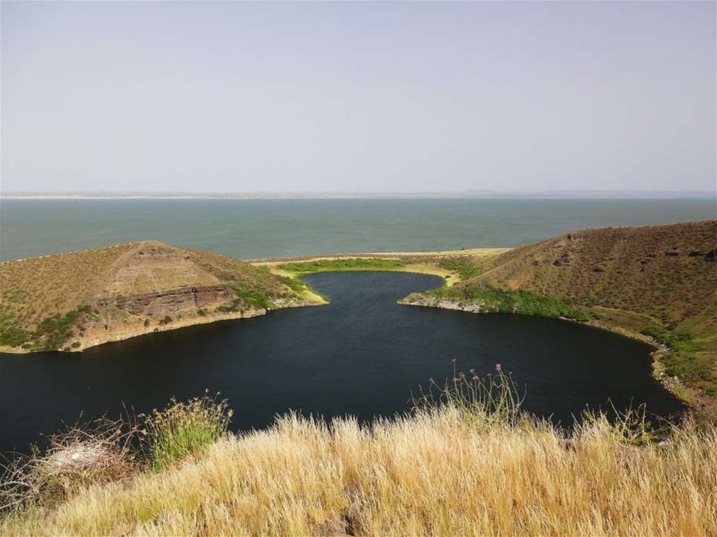 Вскоре состоялась экспедиция на озеро Чад