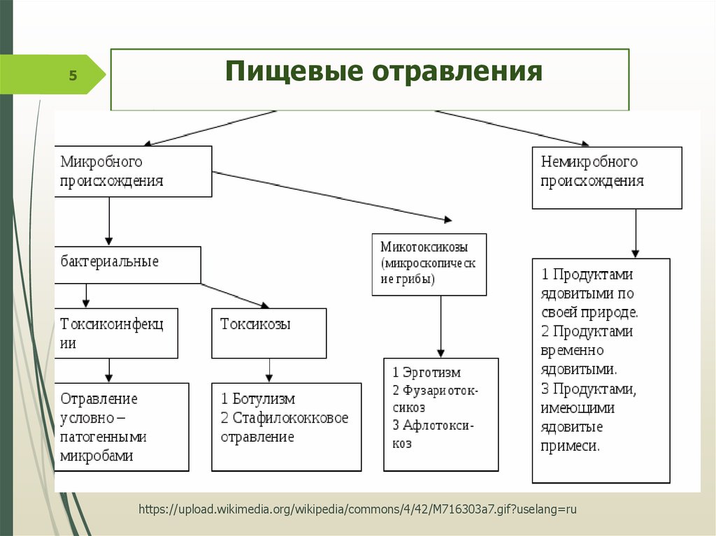 Схема пищевых отравлений