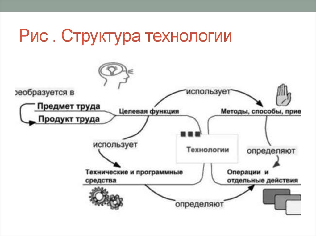 Проект по технологии структура