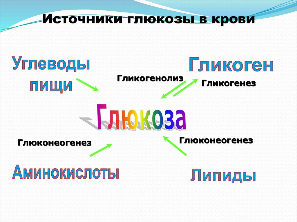 Источники глюкозы