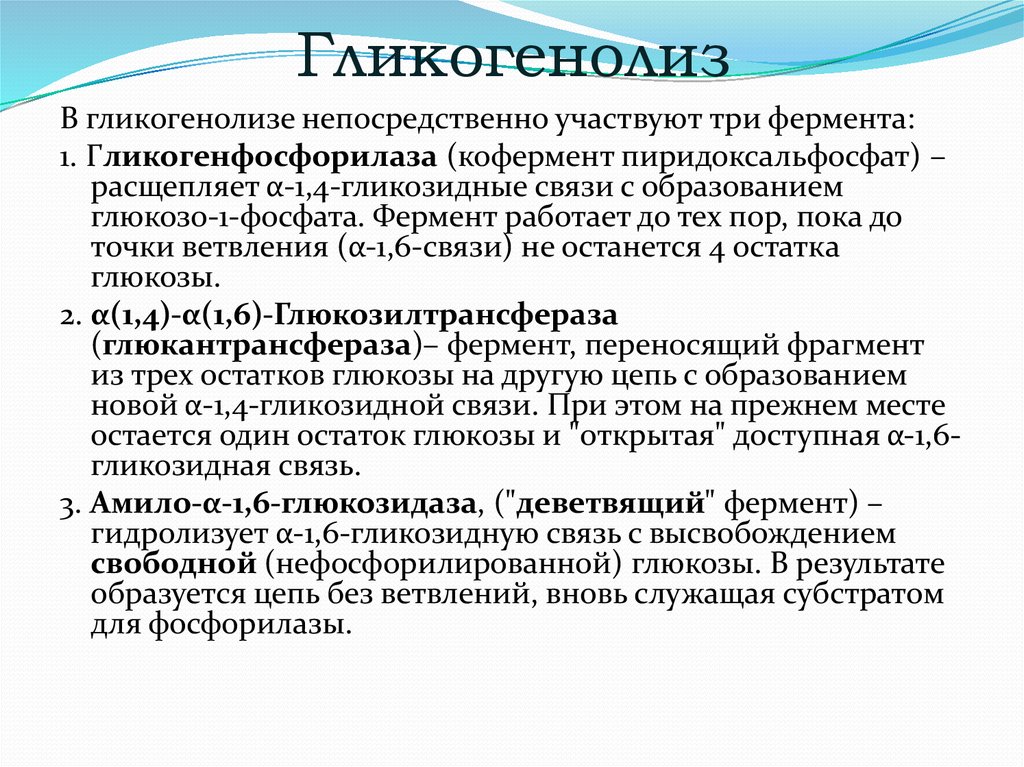 Гликогенолиз. Ферменты гликогенеза. Гликогенолиз ферменты. Ключевые ферменты гликогенеза.