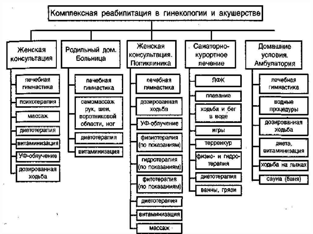 Структура женской консультации схема