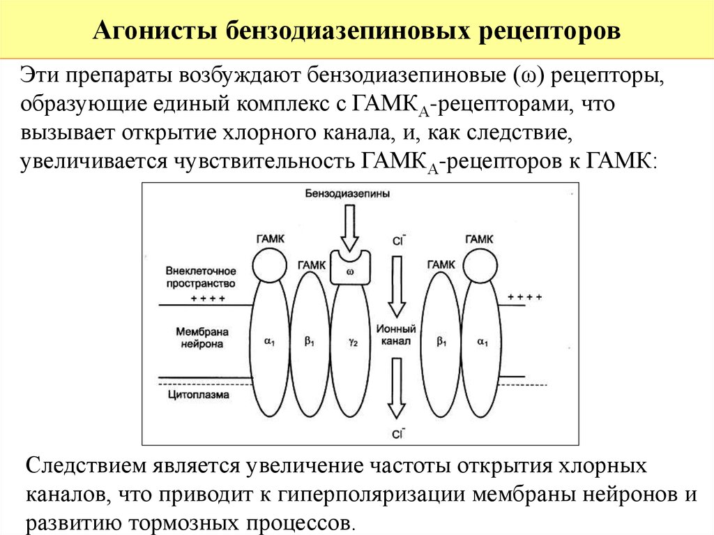 Агонисты рецепторов. Бензодиазепины механизм действия. Механизм действия бензодиазепинов. Антагонисты ГАМК рецепторов. Агонисты ГАМК-рецепторов препараты.