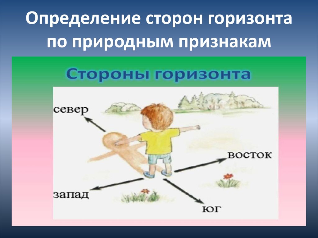 Нарисуй по каким признакам можно определить стороны горизонта