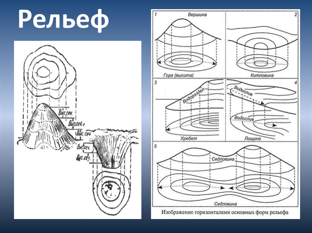 Горизонтали рельефа. Основные формы рельефа и их изображение горизонталями. Изобразить горизонталями седловину. Горизонталь рисунок. Изобразить горизонталями холм и котловину.