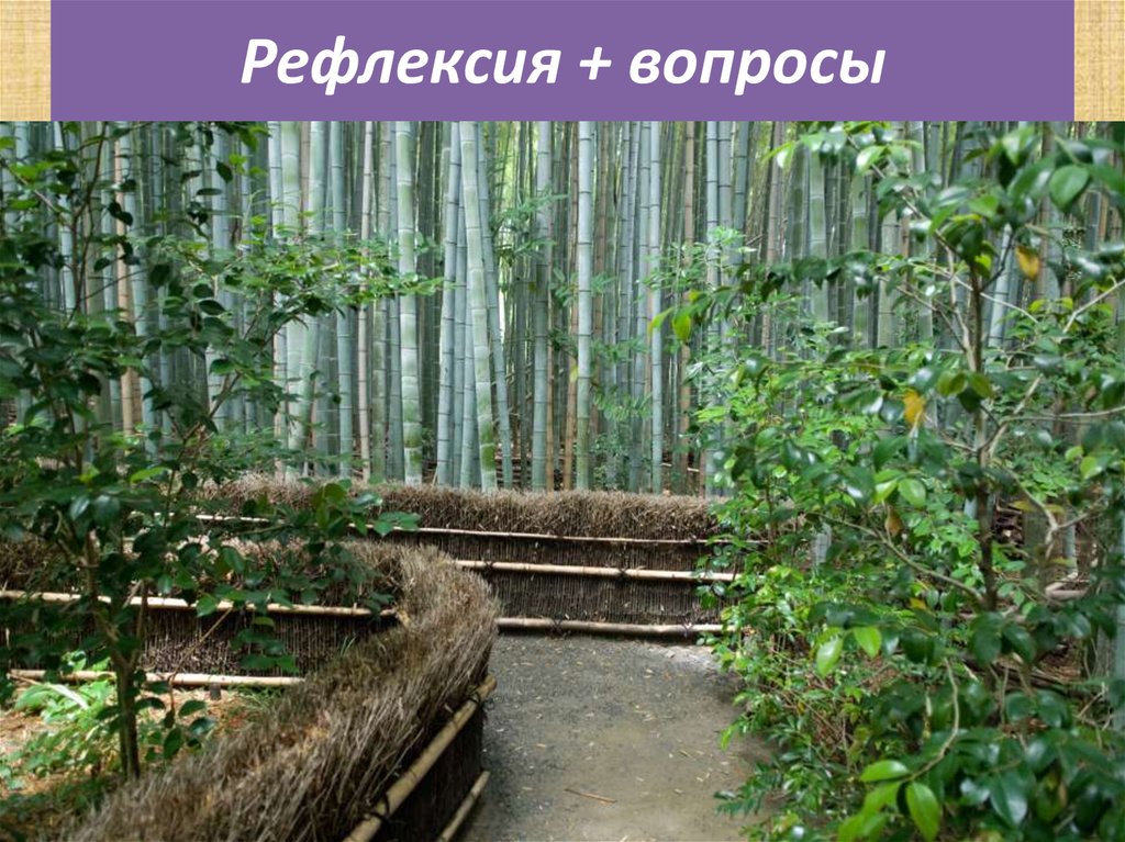 Рефлексия + вопросы