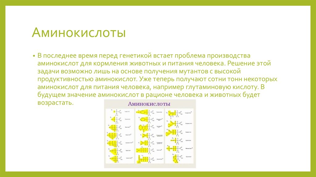 Аминокислоты