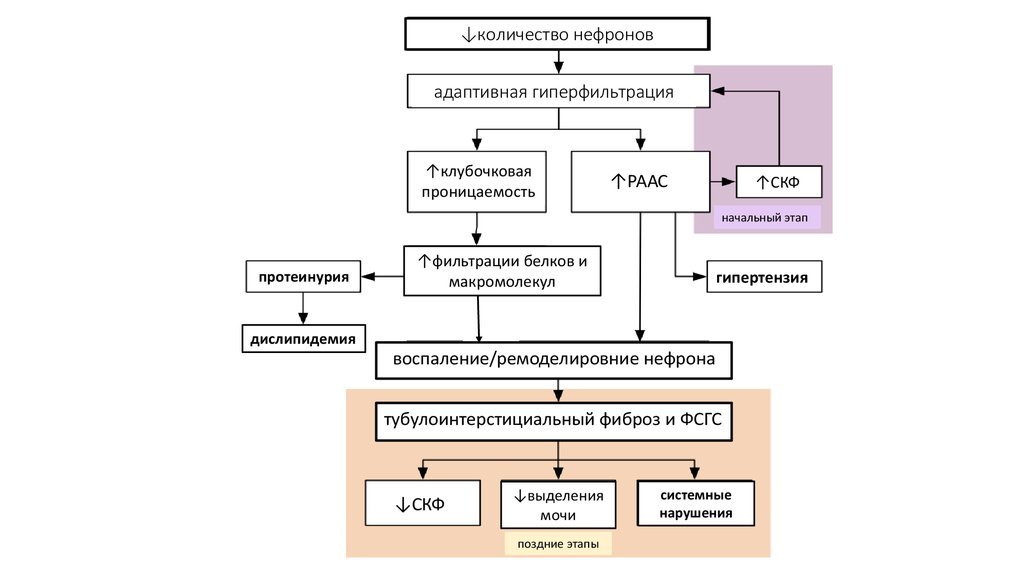 book Enumerative