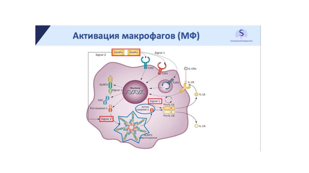 online дифракция электромагнитного поля