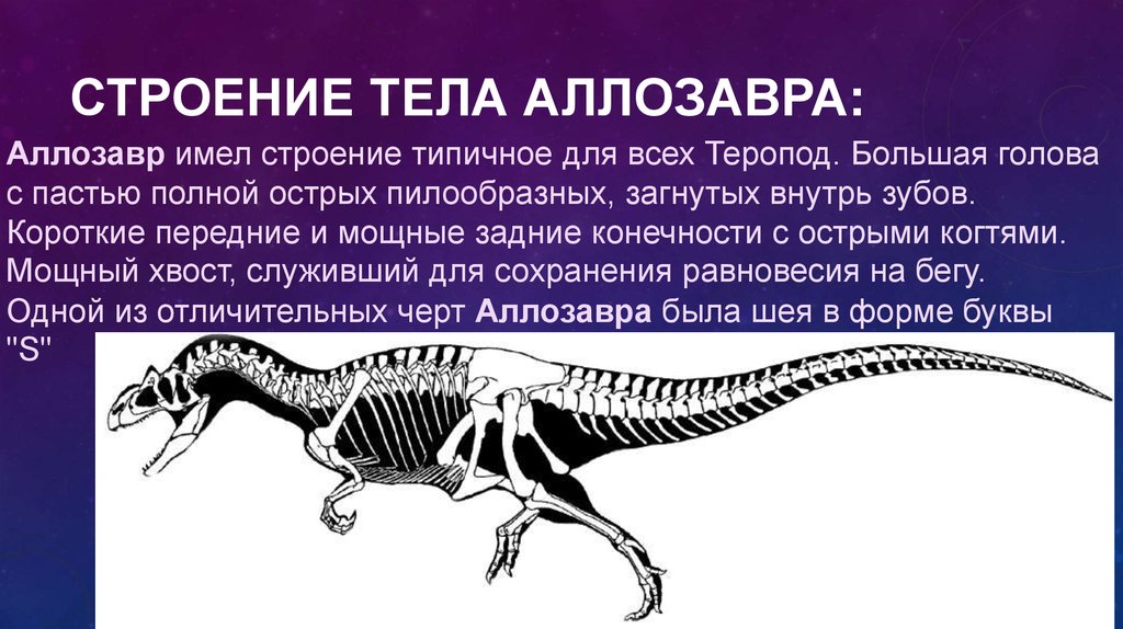 Спасибо за внимание для презентации динозавры