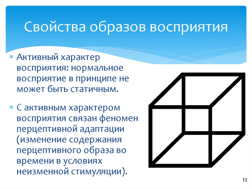 Построение перцептивного образа