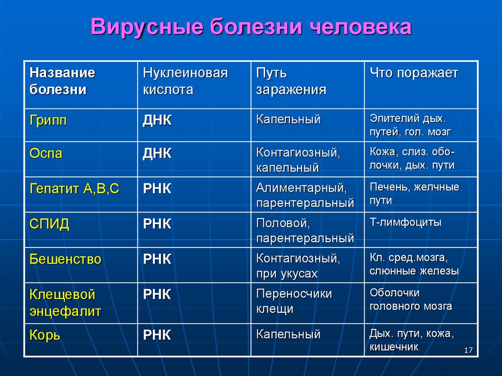 Проект вирусные заболевания