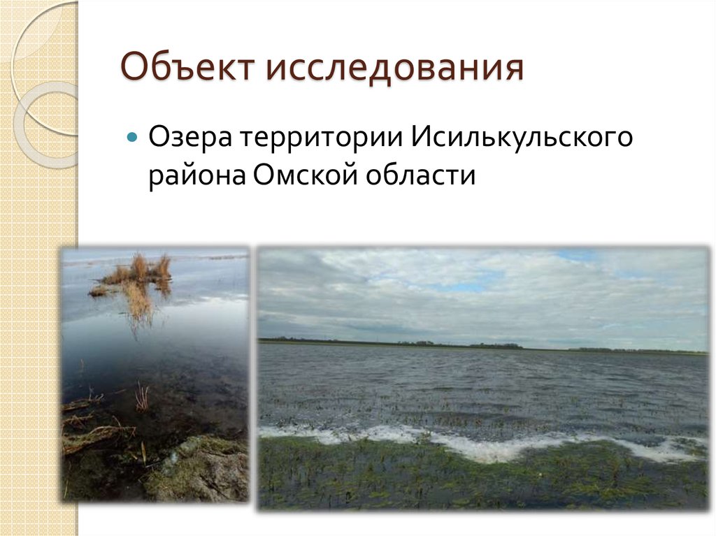 Исследования озер. Объект исследования у озера. Методы исследования озер. Исследование озер. Основные направления в изучении озер.