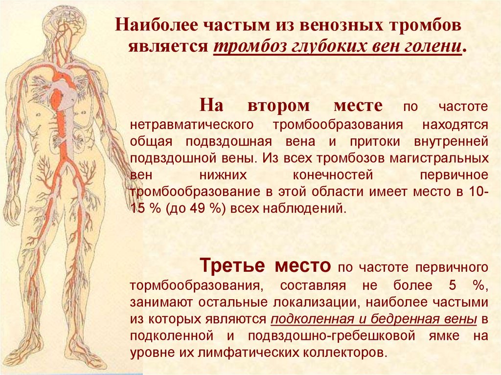 Что Можно Купить В Турции От Тромбообразования