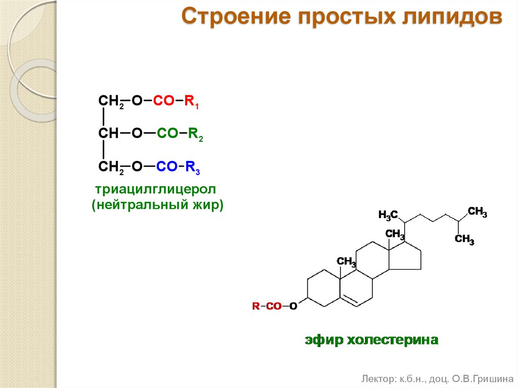 Химическое вещество липида