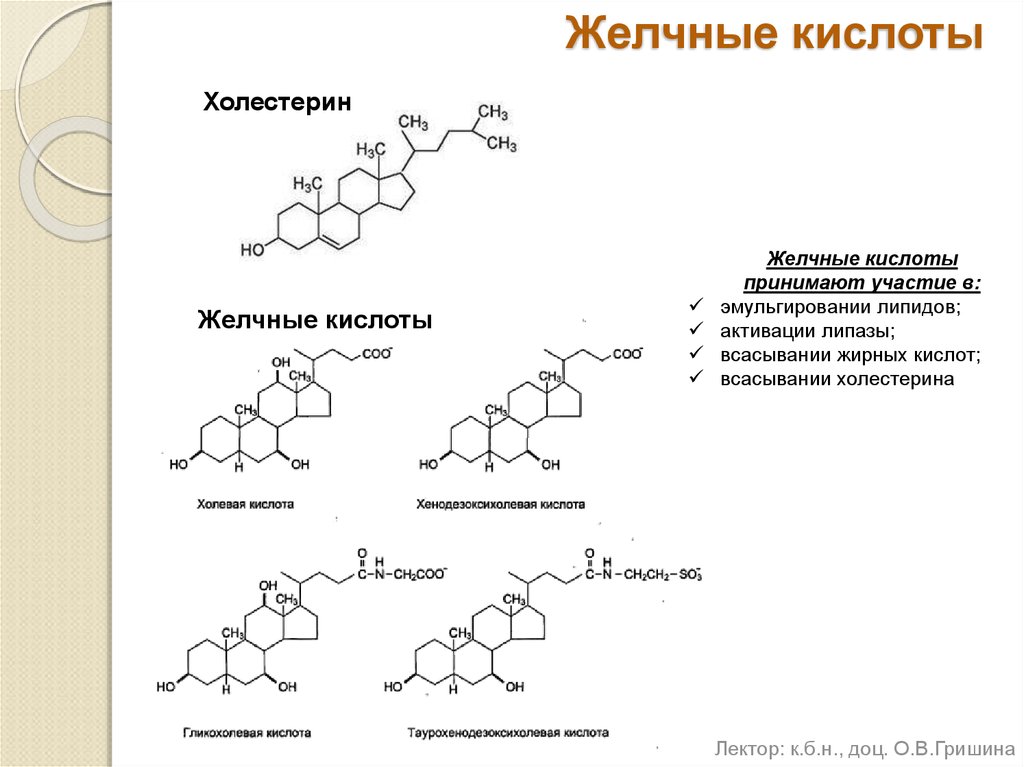 Желчные кислоты. Формулы желчных кислот биохимия. Формулы первичных желчных кислот. Формулы парных желчных кислот. Строение и функции желчных кислот.