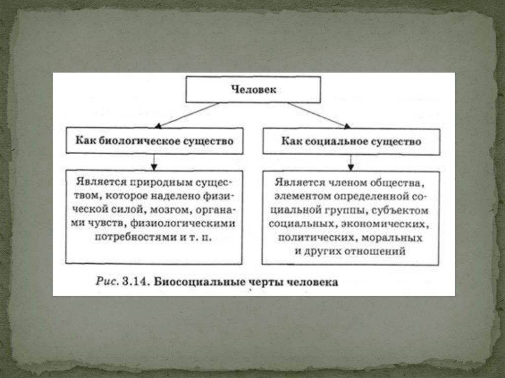 Человек существо биологическое и социальное. Человек биопсихосоциальное существо таблица. Человек как биопсихосоциальное существо философия. Человек как биопсихосоциальное существо.