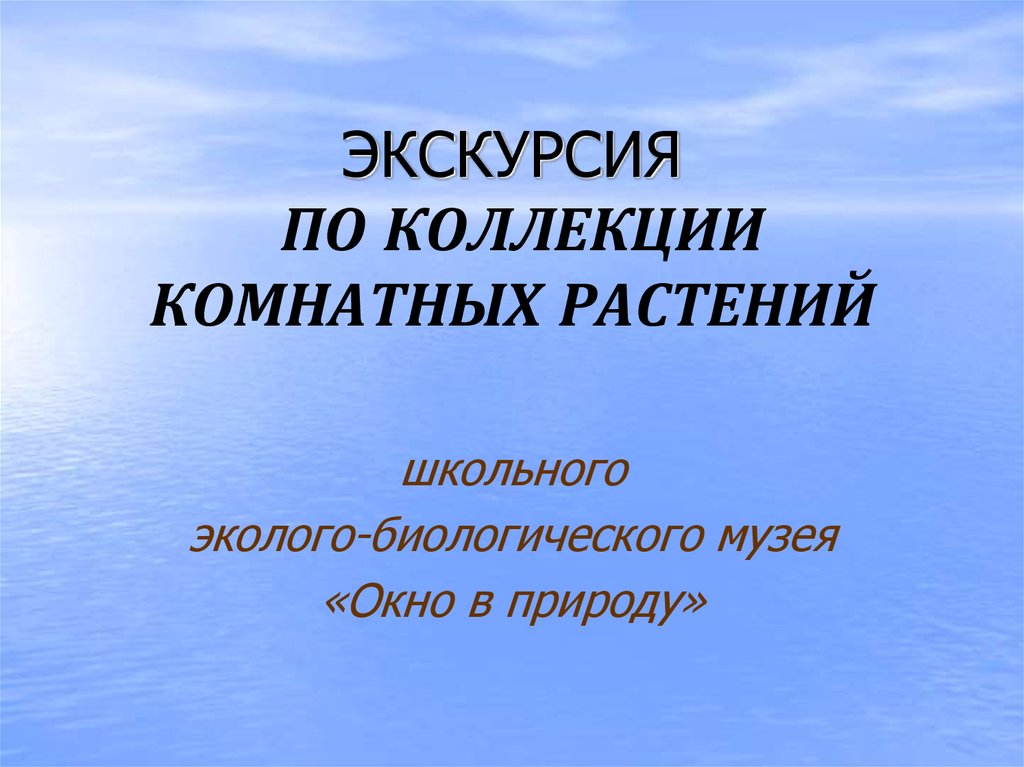 ЭКСКУРСИЯ ПО КОЛЛЕКЦИИ КОМНАТНЫХ РАСТЕНИЙ