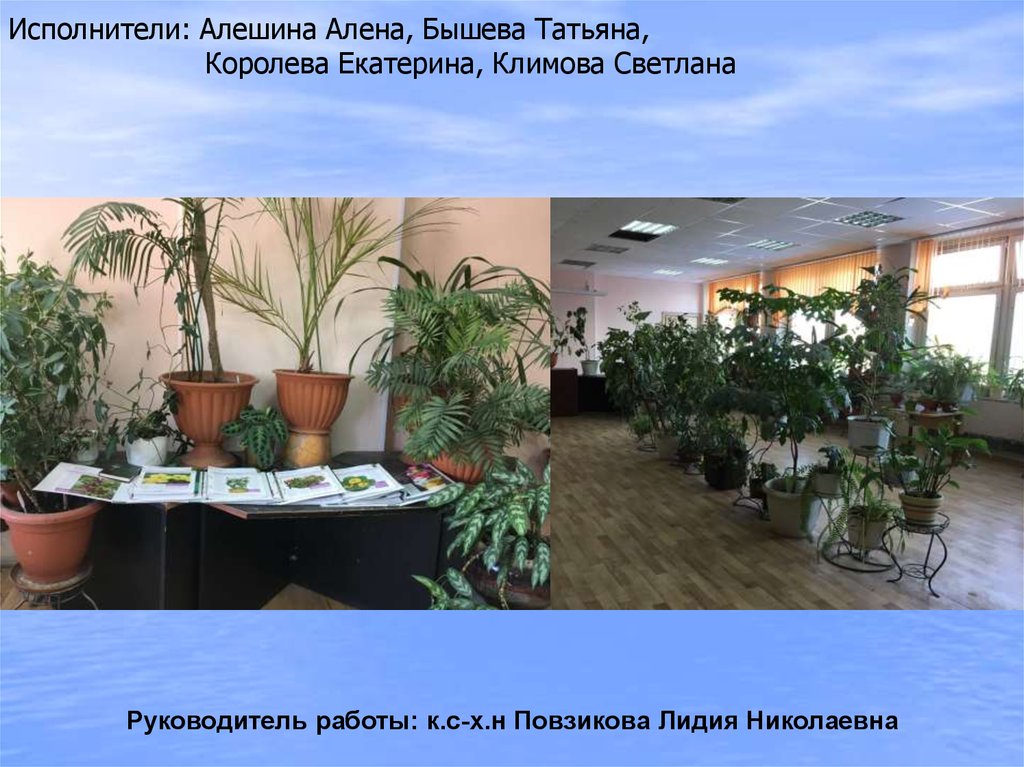 Исполнители: Алешина Алена, Бышева Татьяна, Королева Екатерина, Климова Светлана