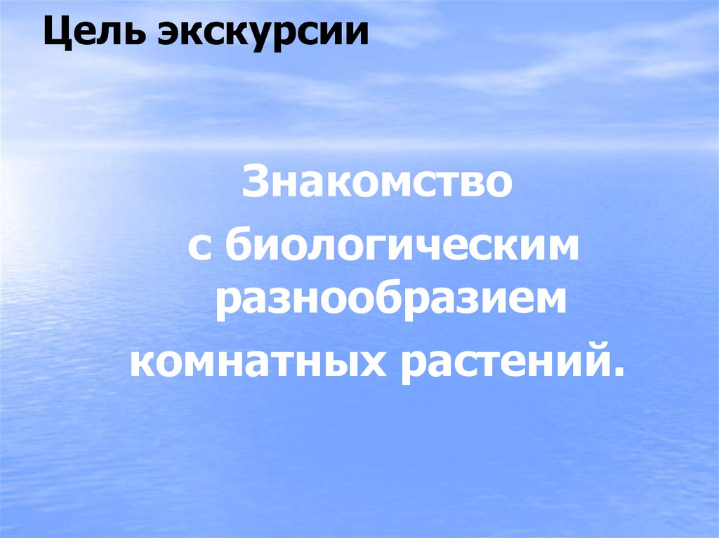 Цель экскурсии