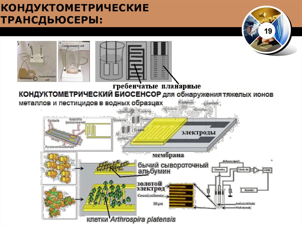 Система 19. Биосенсор классификация. Биосенсорные системы. Печатные электроды для биосенсоров. Производство биосенсоров.