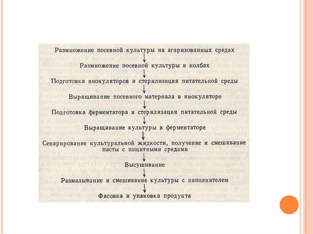 Бактериальные удобрения презентация