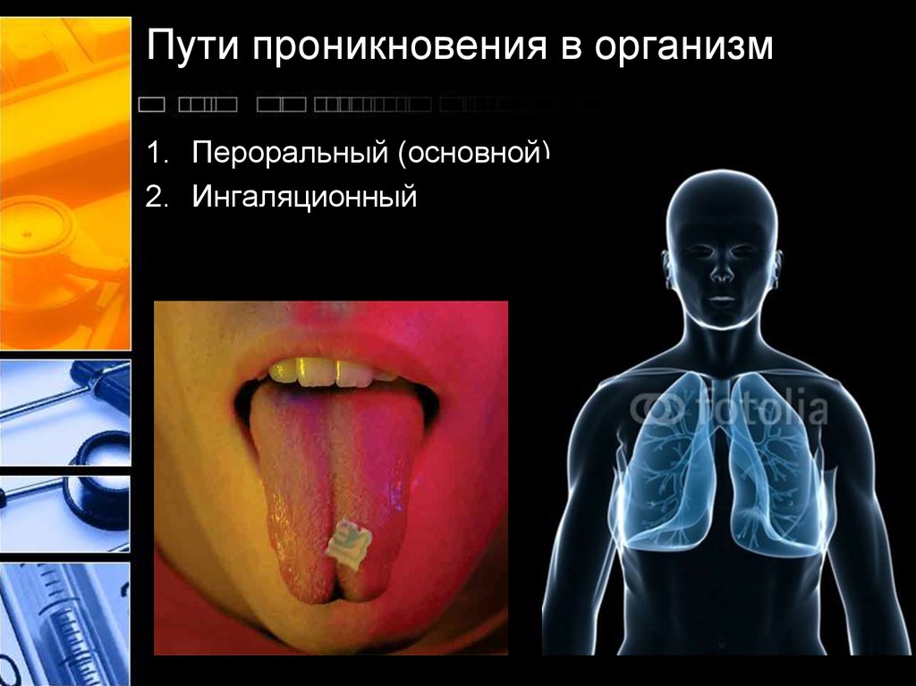 Пути проникновения в организм