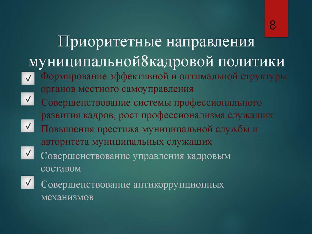 Приоритетные направления муниципальной