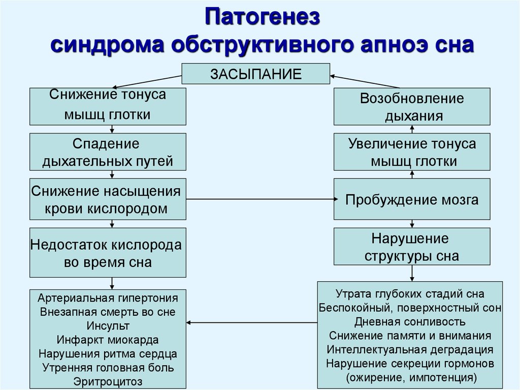 Лечение апноэ. Механизм развития бронхообструктивного синдрома. СОАС синдром обструктивного апноэ сна. Патогенез обструктивного синдрома. Синдром обструктивного апноэ сна патогенез.