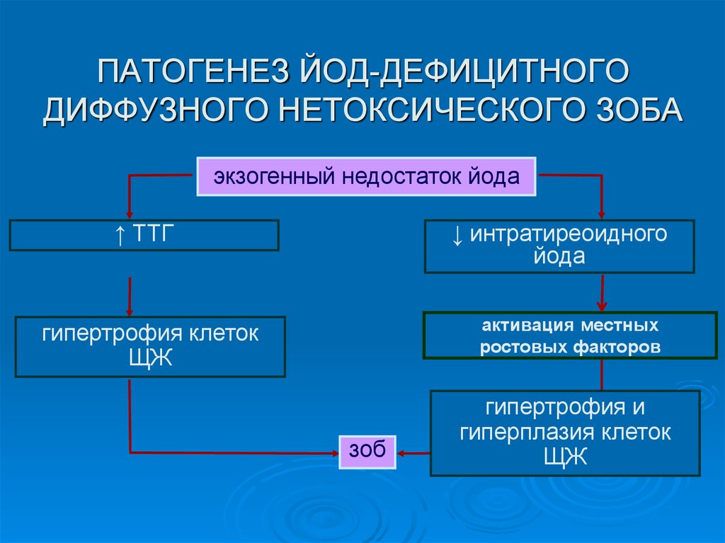 Диффузный нетоксичный. Патогенез йододефицитных заболеваний. Эндемический зоб патогенез. Зоб щитовидной железы патогенез. Диффузный нетоксический зоб патогенез.