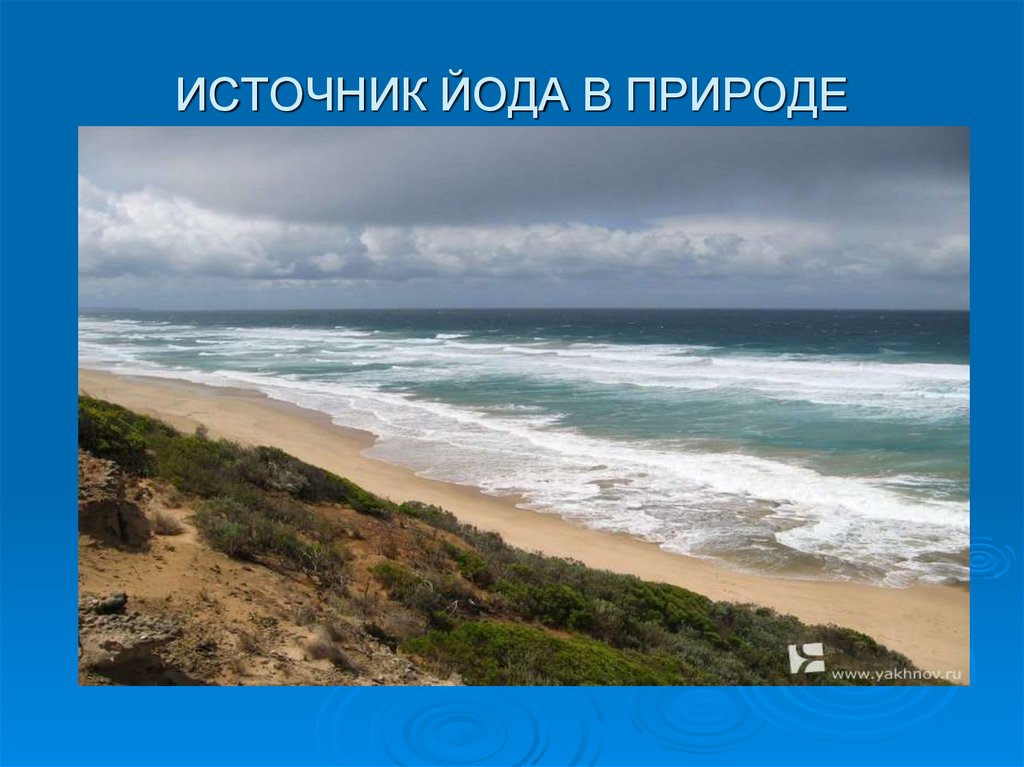 Йод в природе. Нахождение йода в природе. Источники йода в природе. Распространение в природе йода.