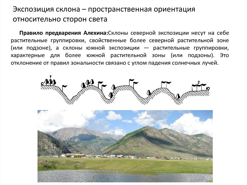 Южная экспозиция это. Склон Южной экспозиции как определить. Правило предварения Алехина. Правило Алехина экология. Экспозиция склона.