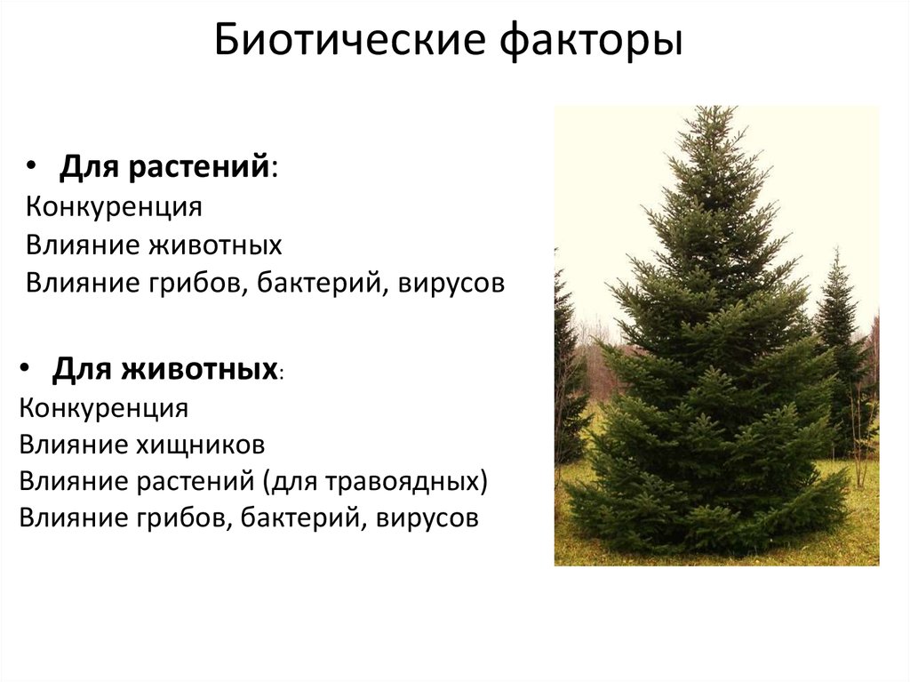 Биотические факторы