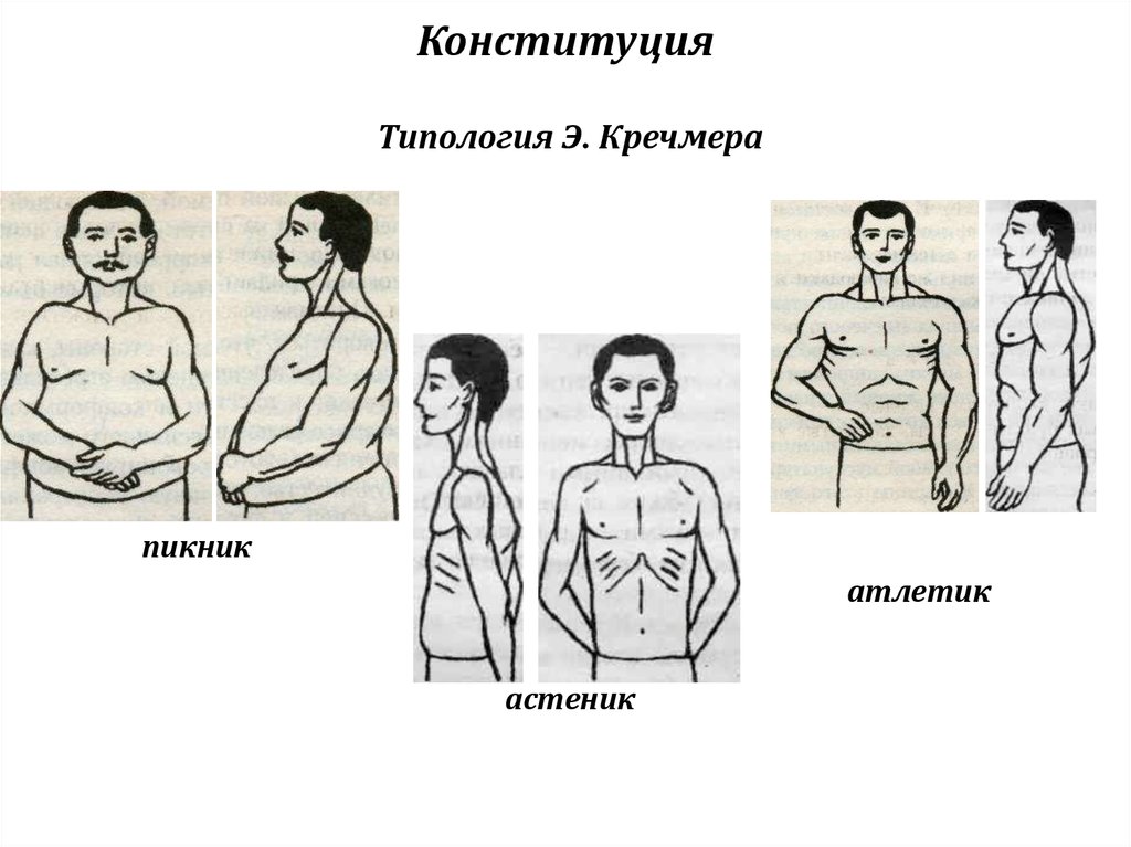 Пикник атлетик. Конституциональная типология Кречмера. Конституция человека схема э.Кречмера. Типология э Кречмера. Типы Конституции по Кречмеру и Шелдону.