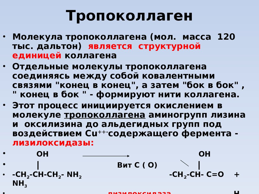 Является структурной. Тропоколлаген строение. Строение молекулы тропоколлагена. Структура тропоколлагена. Тропоколлаген биохимия.