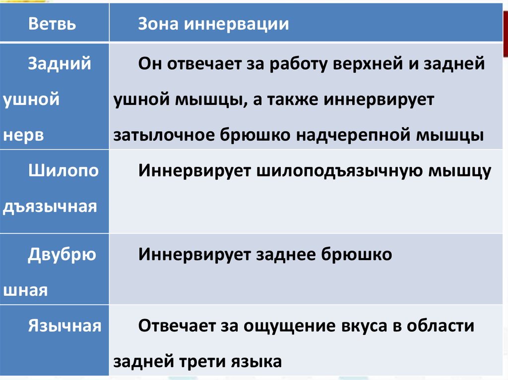 Анатомия лицевого нерва - online presentation
