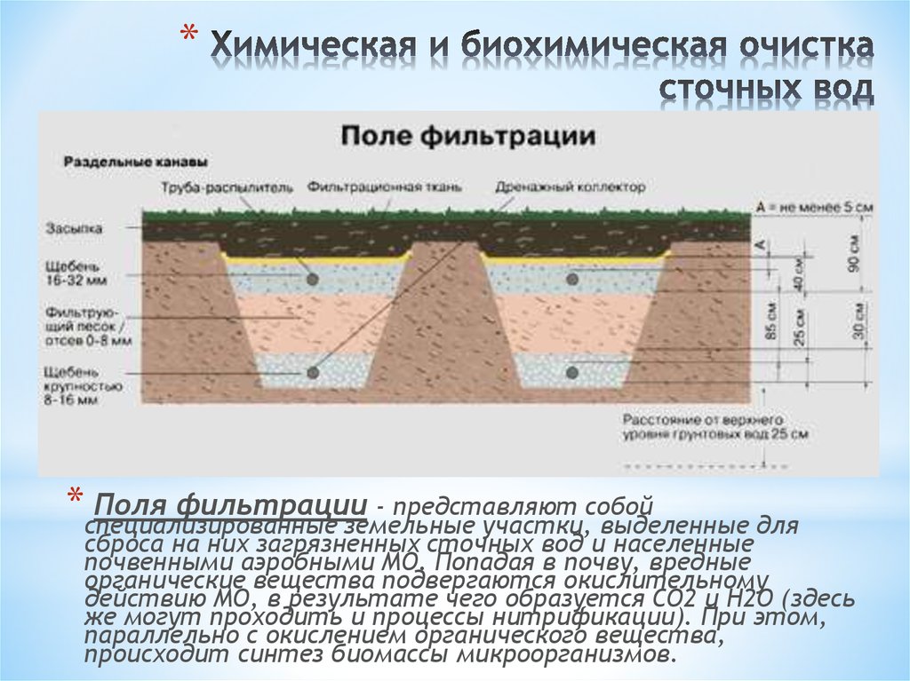 Поля фильтрации для очистки сточных