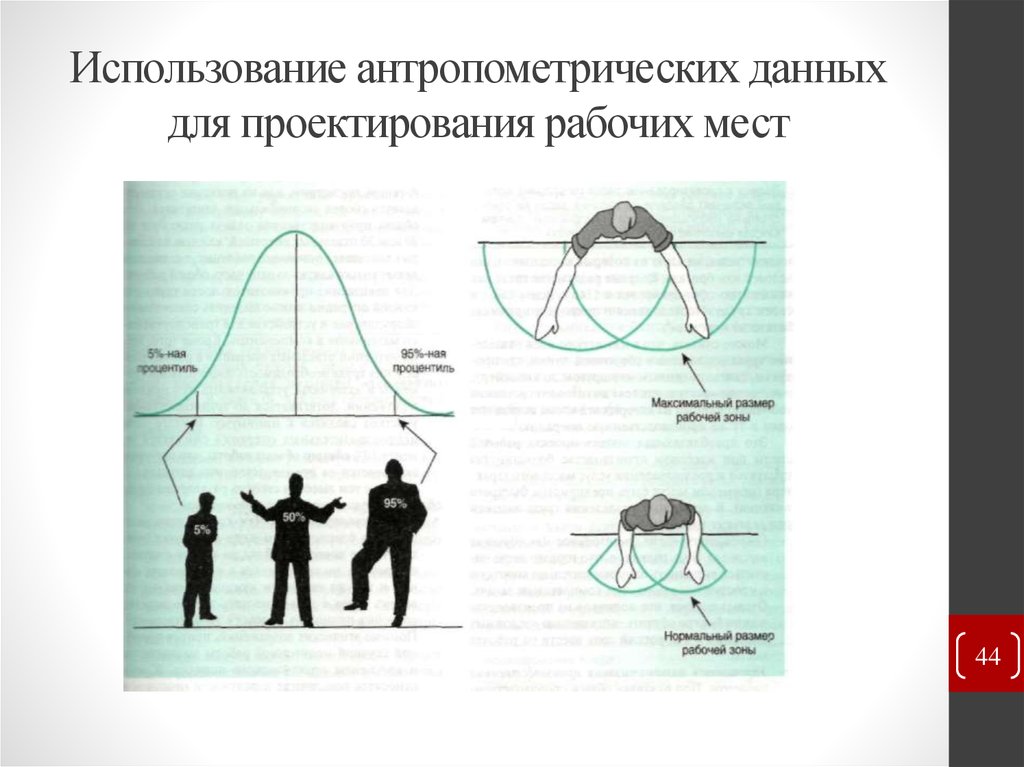 Антропометрические дуги.