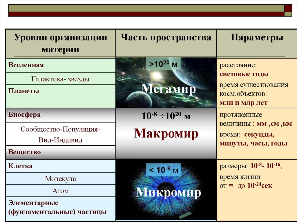 Материя выбрать. Уровни организации пространства. Уровни организации Вселенной. Уровни организации материи ( Мегамир, Макромир, микромир). Уровни микромира материи.