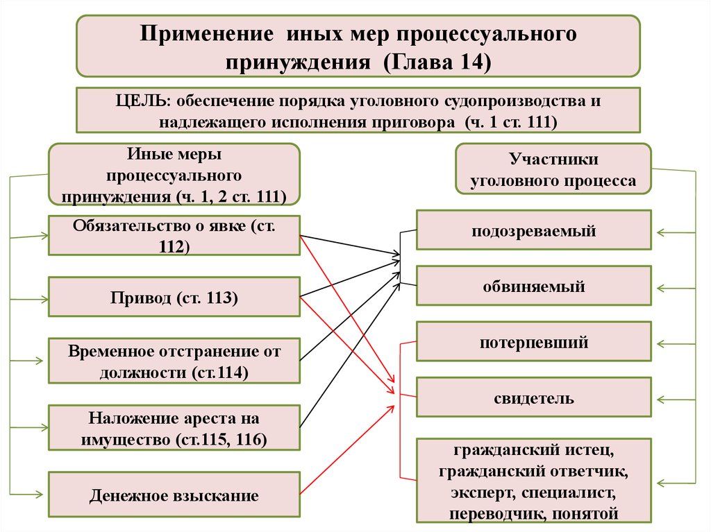 Применена в целях. Меры уголовно-процессуального принуждения схема. Иные меры процессуального принуждения в уголовном процессе. Классификация иных мер процессуального принуждения. Меры пресечения и принуждения в уголовном процессе.