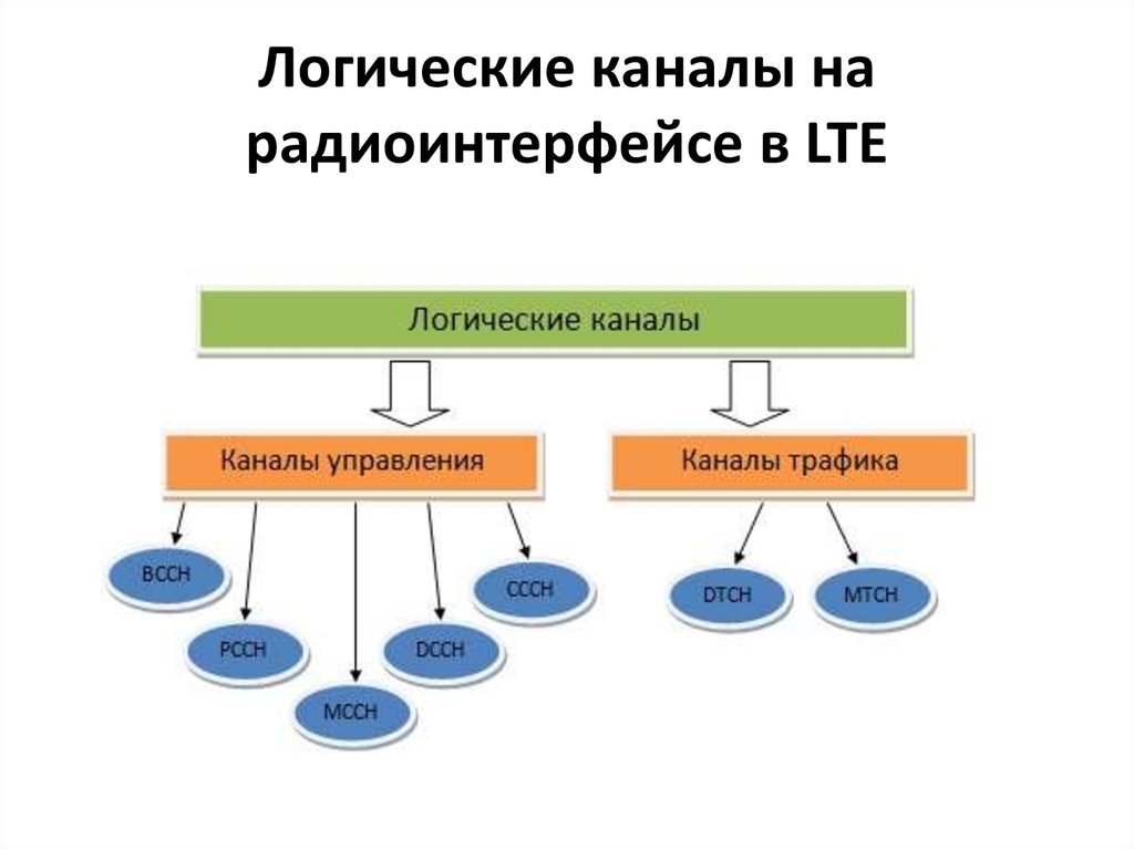 Основной единицей структуры сетевого общества