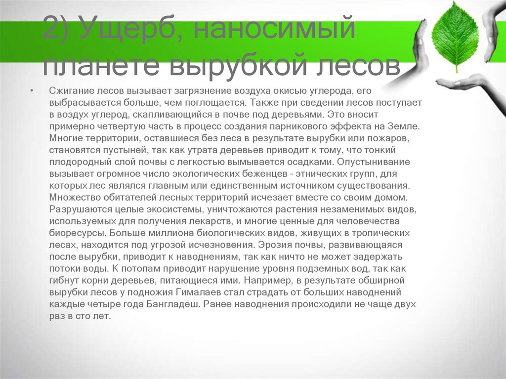 Вред причиненный лесам. Вывод про вырубку лесов. Меры по устранению ущерба нанесенного вырубками лесов. Меры по устранению вырубки лесов. Вывод по теме вырубка лесов.