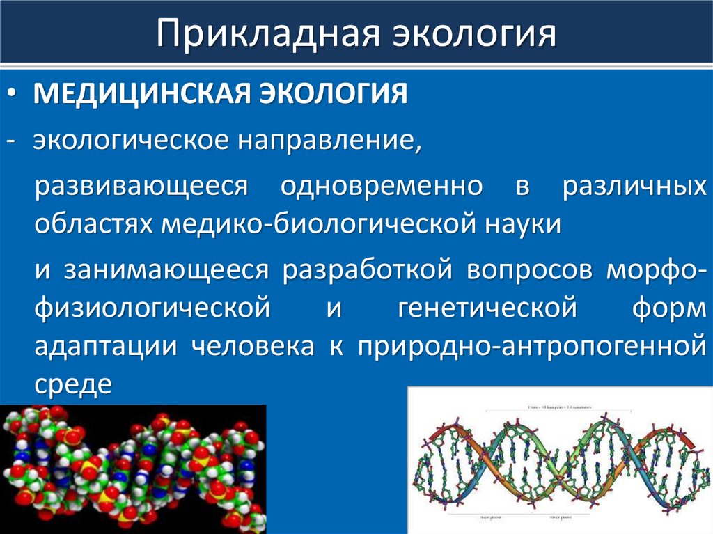 Прикладные направления это