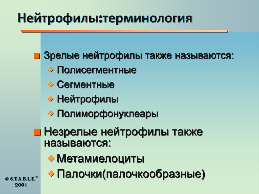 Нейтрофилы:терминология
