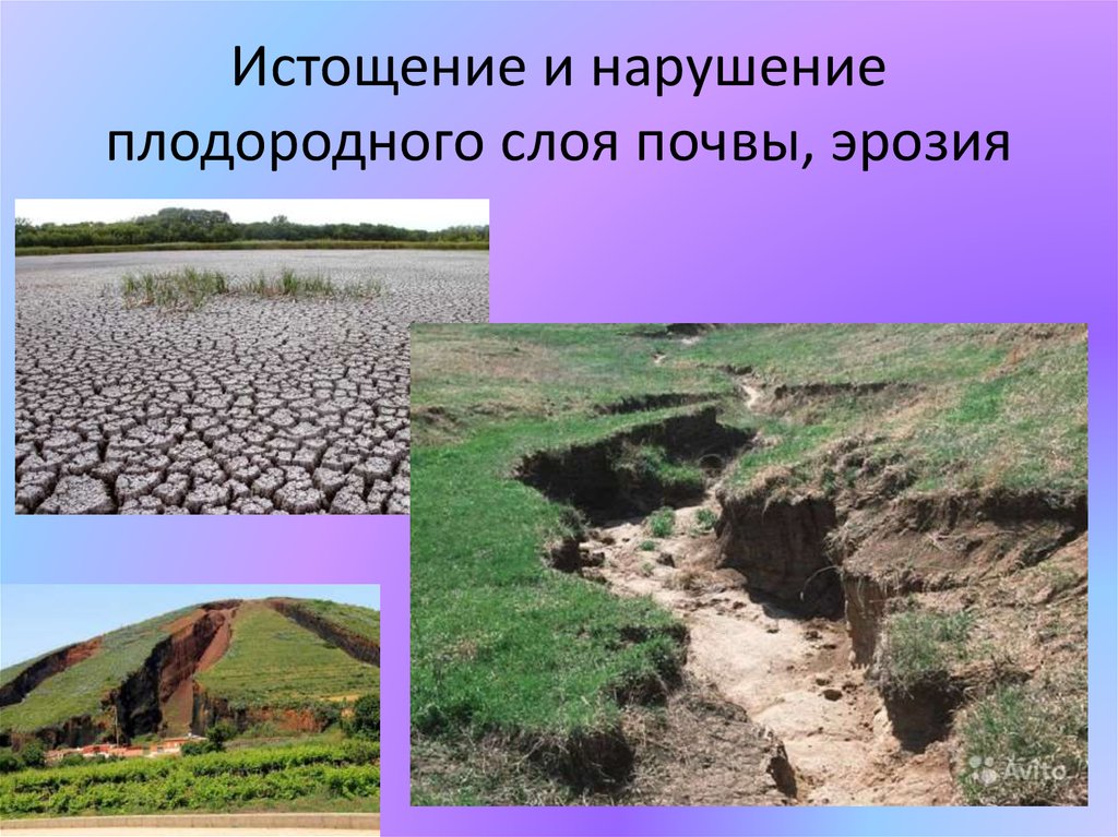 Нарушение плодородного слоя. Эрозия почвы. Эрозия и истощение почв. Антропогенная эрозия почв. Эрозия почв Краснодарского края.