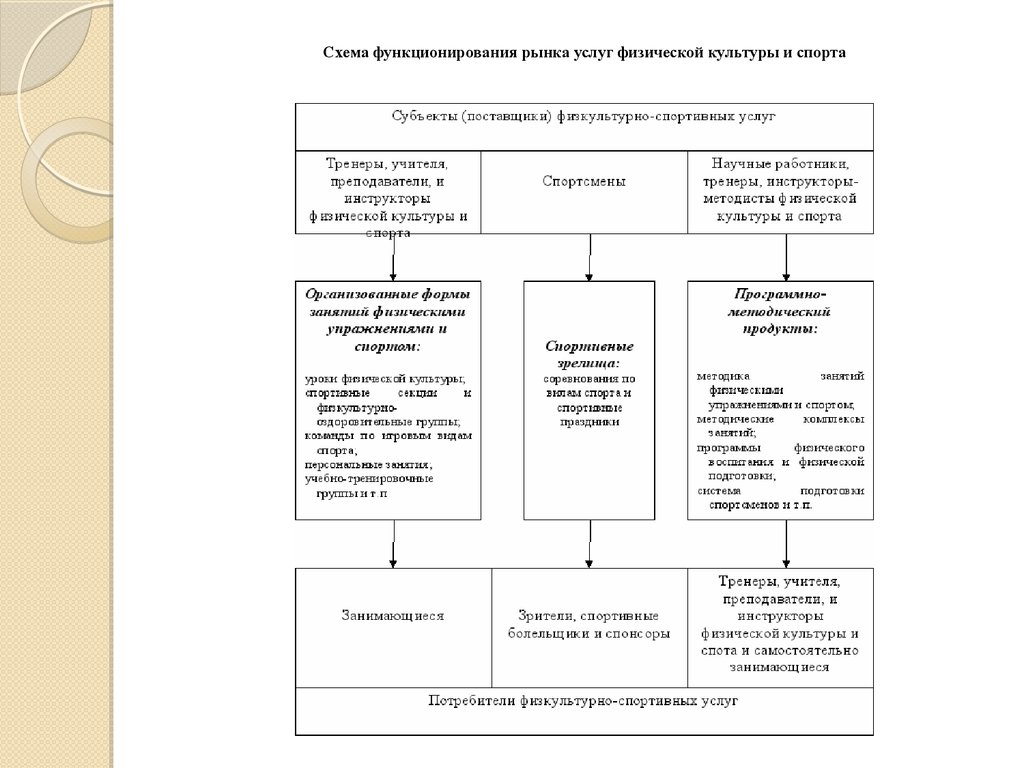 Виды деятельности относящиеся к сфере физической культуры